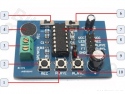 Voice recording module